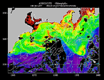 黒潮域のクロロフィル濃度分布画像の可視化例