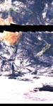 com_10d4.204